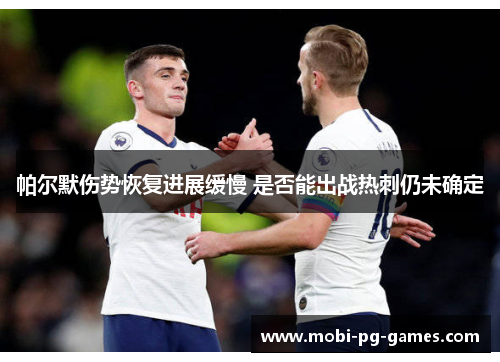 帕尔默伤势恢复进展缓慢 是否能出战热刺仍未确定
