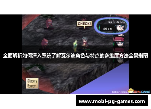 全面解析如何深入系统了解瓦尔迪角色与特点的多维度方法全景指南